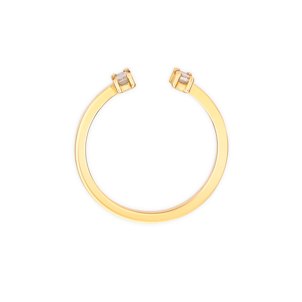 Ring Bricks